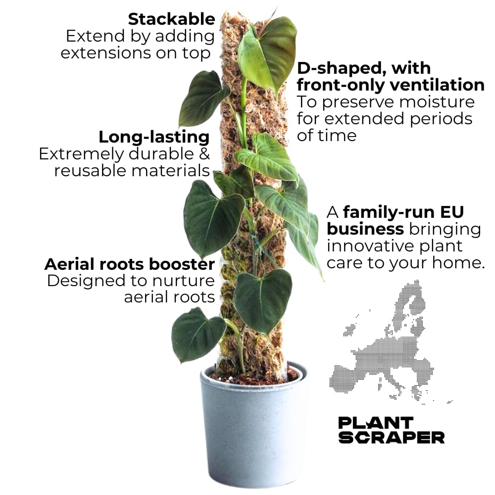 Moosstab für Monstera 5 x 39 cm - Erweiterbare Monstera Rankhilfe & Zubehör-Set - Befestigung für Kletterpflanzen