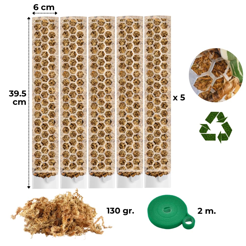 Moosstab für Monstera 5 x 39 cm - Erweiterbare Monstera Rankhilfe & Zubehör-Set - Befestigung für Kletterpflanzen
