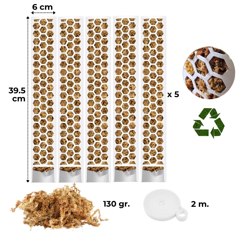 Moosstab für Monstera 5 x 39 cm - Erweiterbare Monstera Rankhilfe & Zubehör-Set - Befestigung für Kletterpflanzen