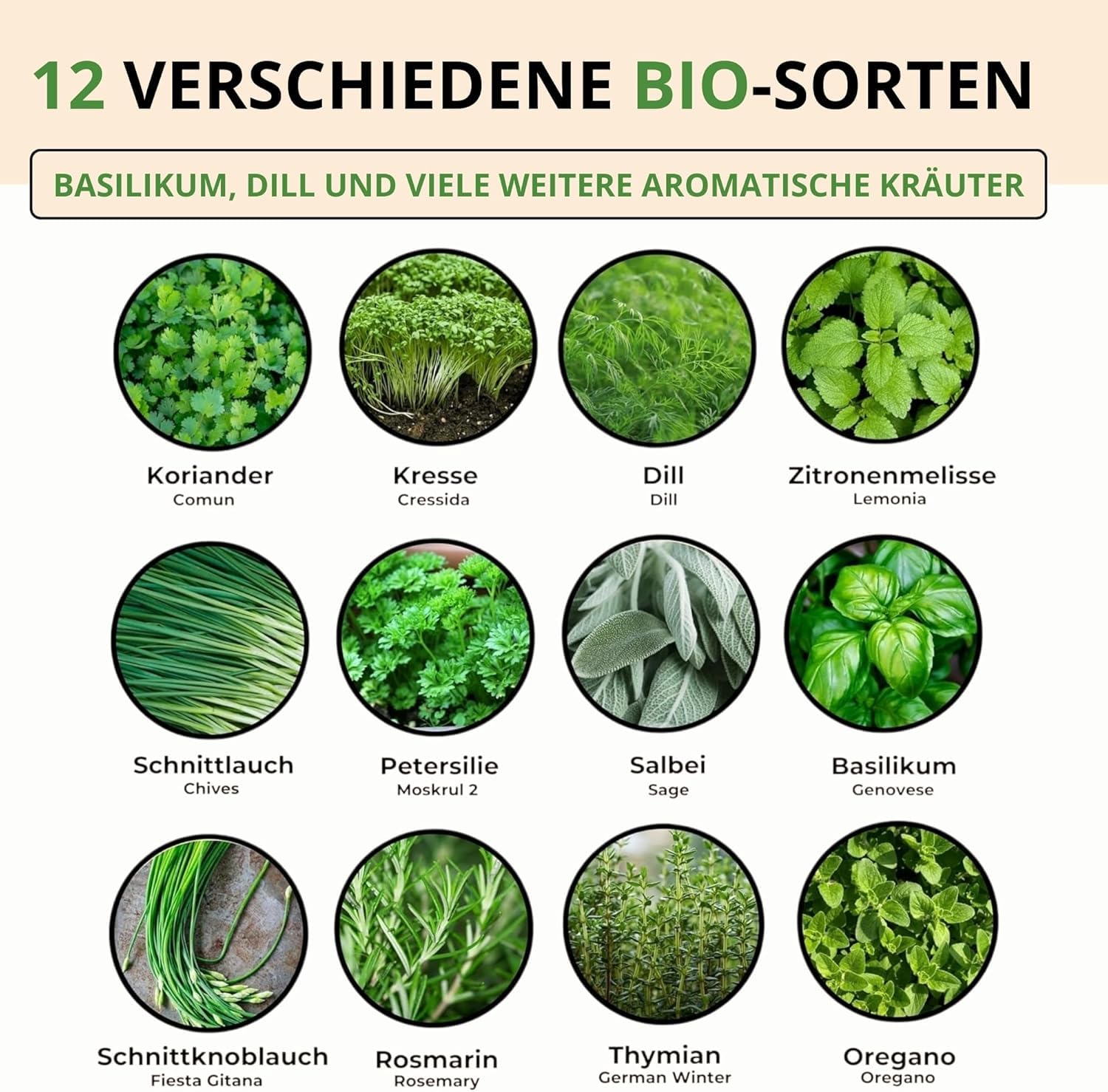 Herb Seed Variety Pack (12 Types) – Indoor & Outdoor