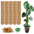 Moosstab für Monstera 5 x 39 cm - Erweiterbare Monstera Rankhilfe & Zubehör-Set - Befestigung für Kletterpflanzen