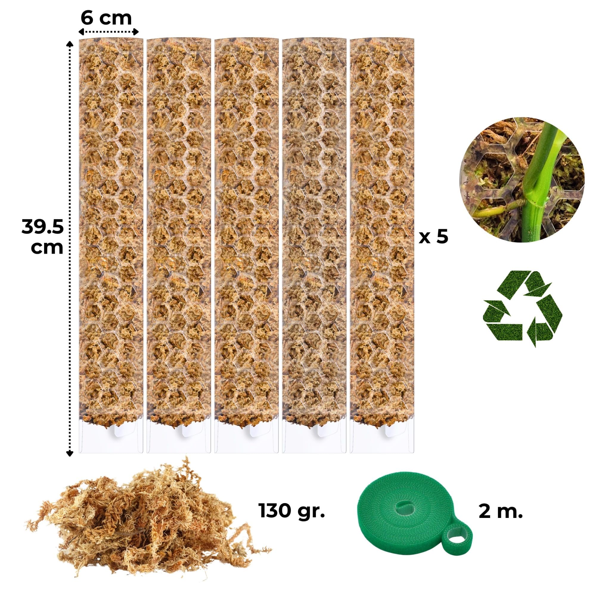 Moosstab für Monstera 5 x 39 cm - Erweiterbare Monstera Rankhilfe & Zubehör-Set - Befestigung für Kletterpflanzen