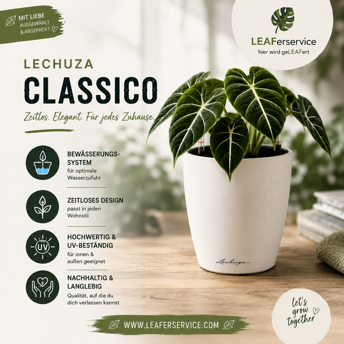 LECHUZA Classico Color Pflanzgefäß