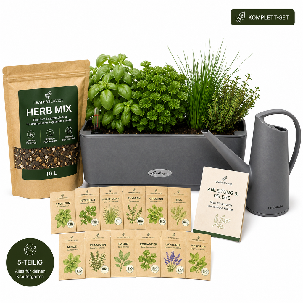 DIY Kräuter Anzucht Bundle - smartes Microgreening