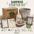 Surprise Starter Kit – Dein Überraschungs-Rhizom | by LEAFerservice