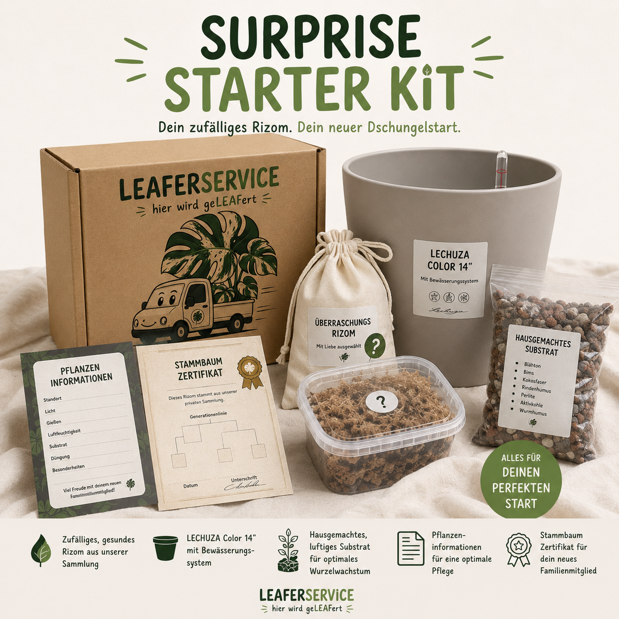Surprise Starter Kit – Dein Überraschungs-Rhizom | by LEAFerservice