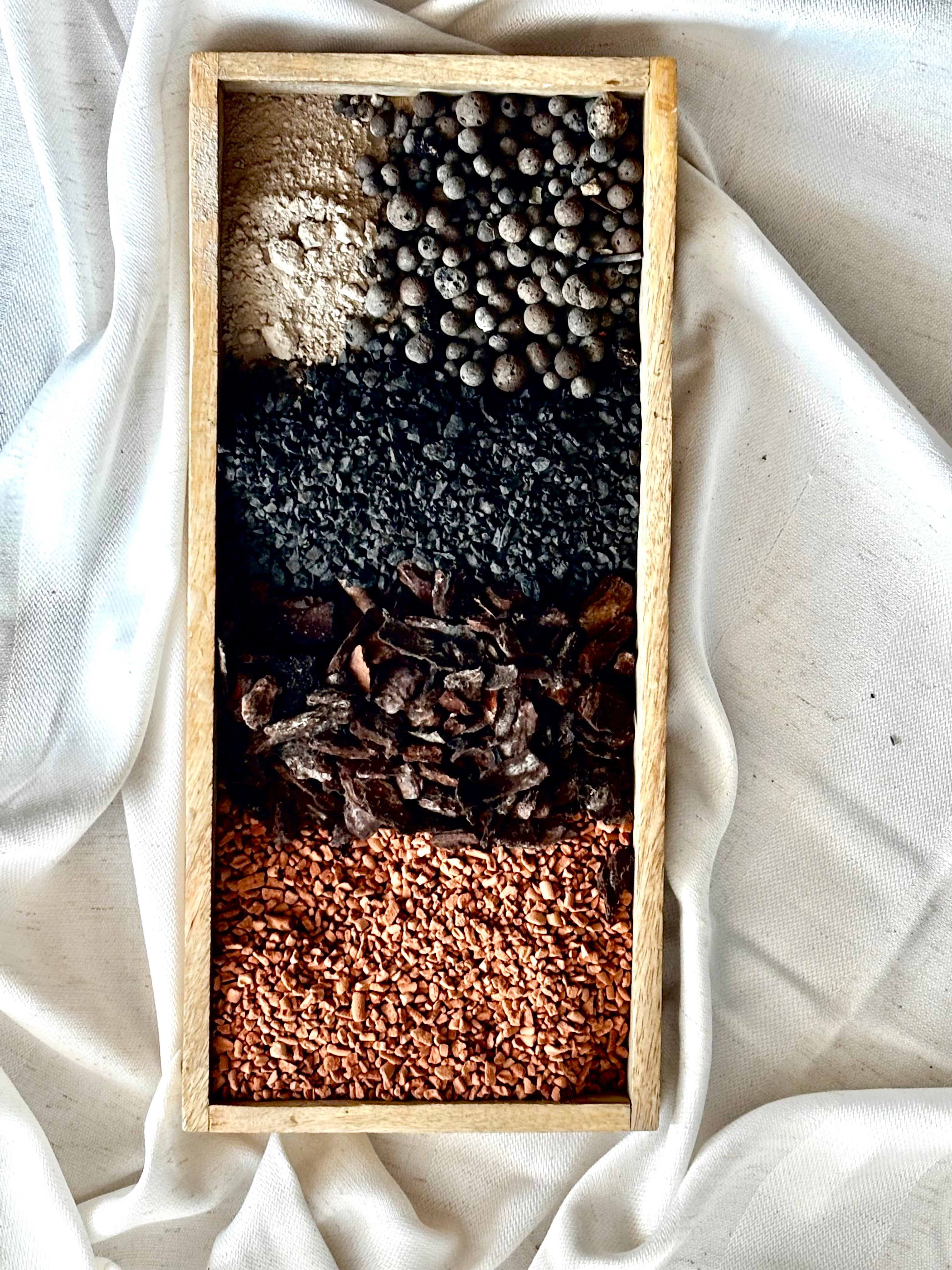 LEAFS Tropical Mix - Premium-Mischung für tropische Zimmerpflanzen